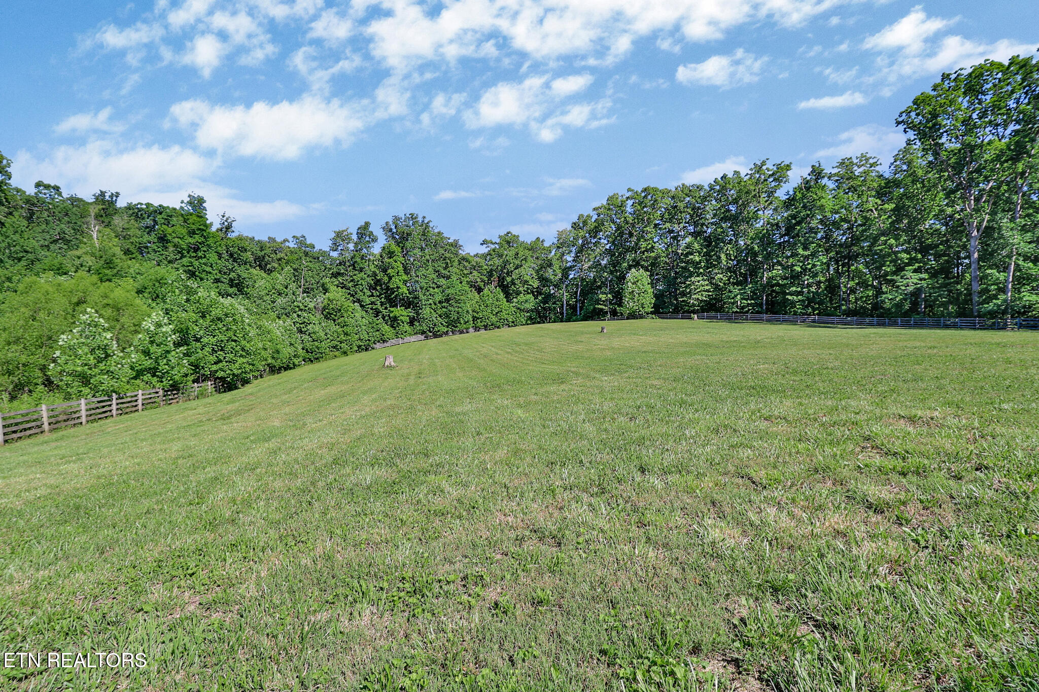 101 Duncan Hinds Road Jamestown, TN 38556 - Photo 28 of 59 Pasture