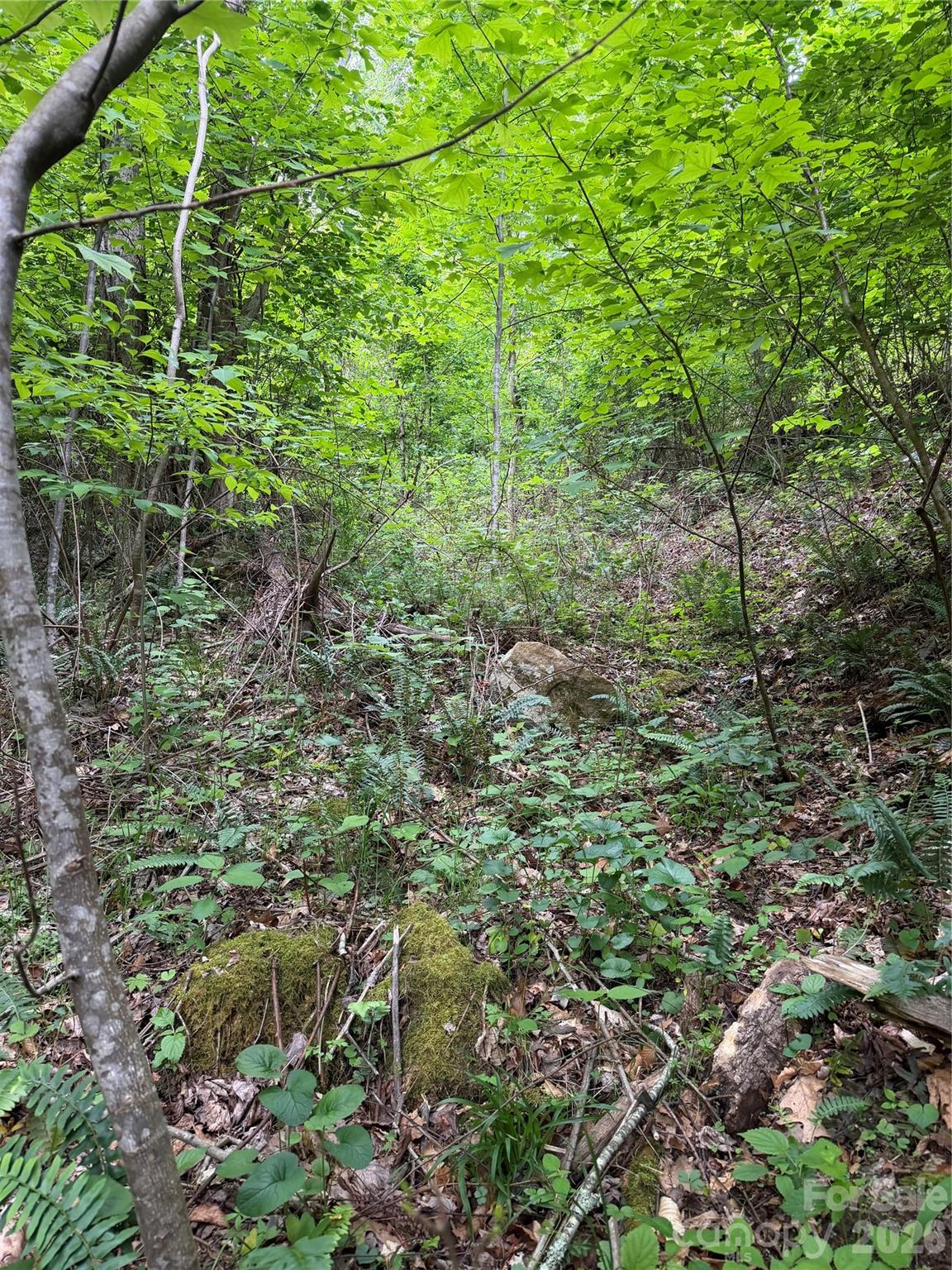 408 Arvil Gosnell Road Marshall, NC 28753 - Photo 27 of 31 a view of a garden