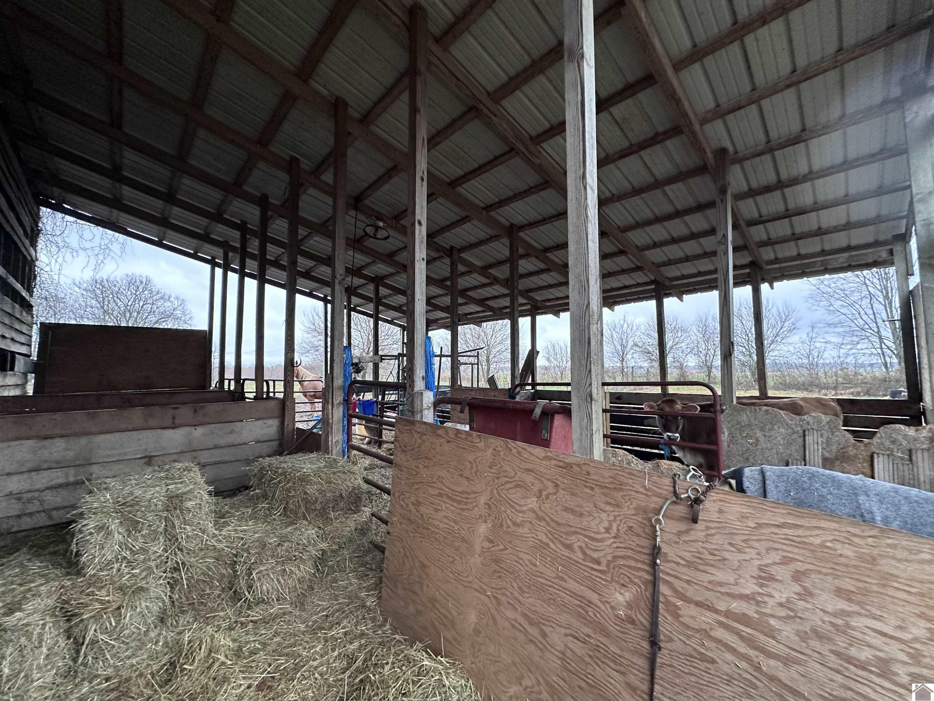 1560 High Road Sedalia, KY 42079 - Photo 27 of 31 Photo 27