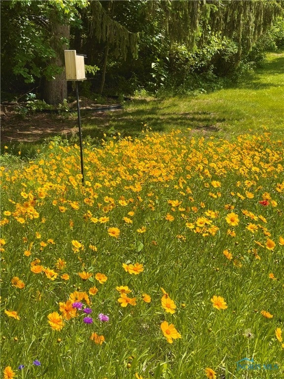 5243 Flanders Road Toledo, OH 43623 - Photo 29 of 36 Beautiful perennial garden!