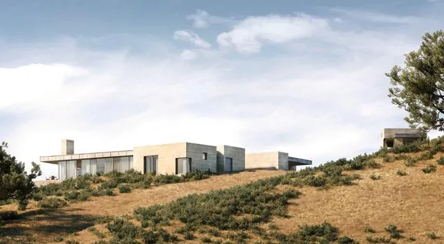 a city view with large trees and sky view