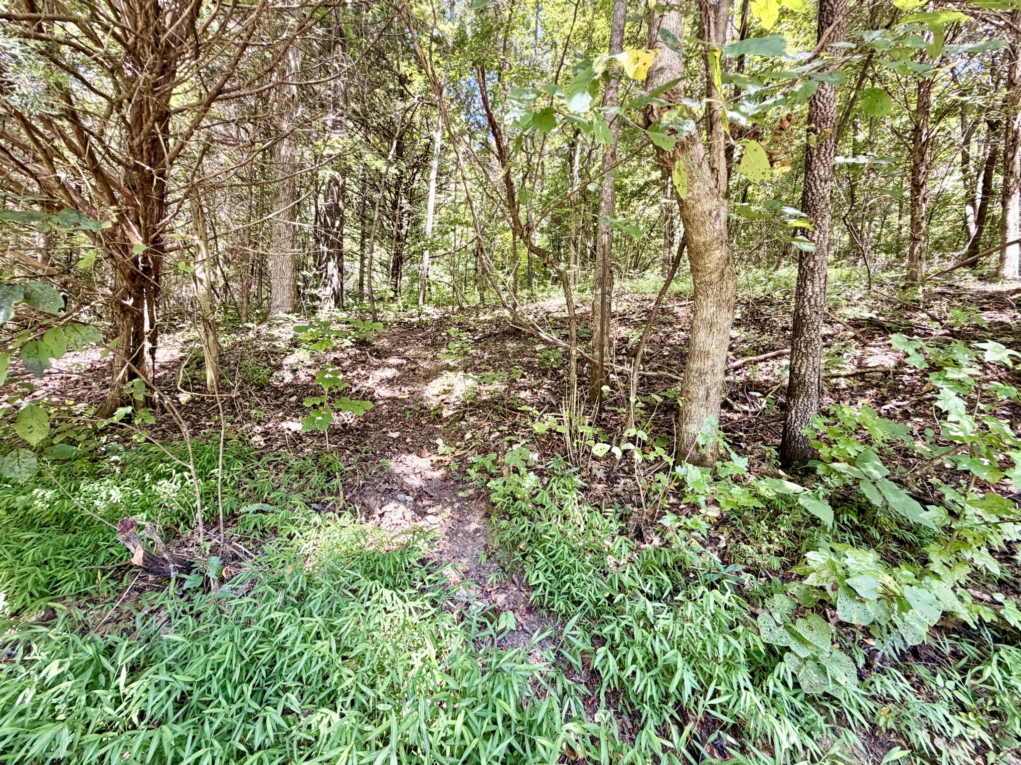 877 Hanna Branch Road Prospect, TN 38477 - Photo 49 of 49 Gallery Image 49