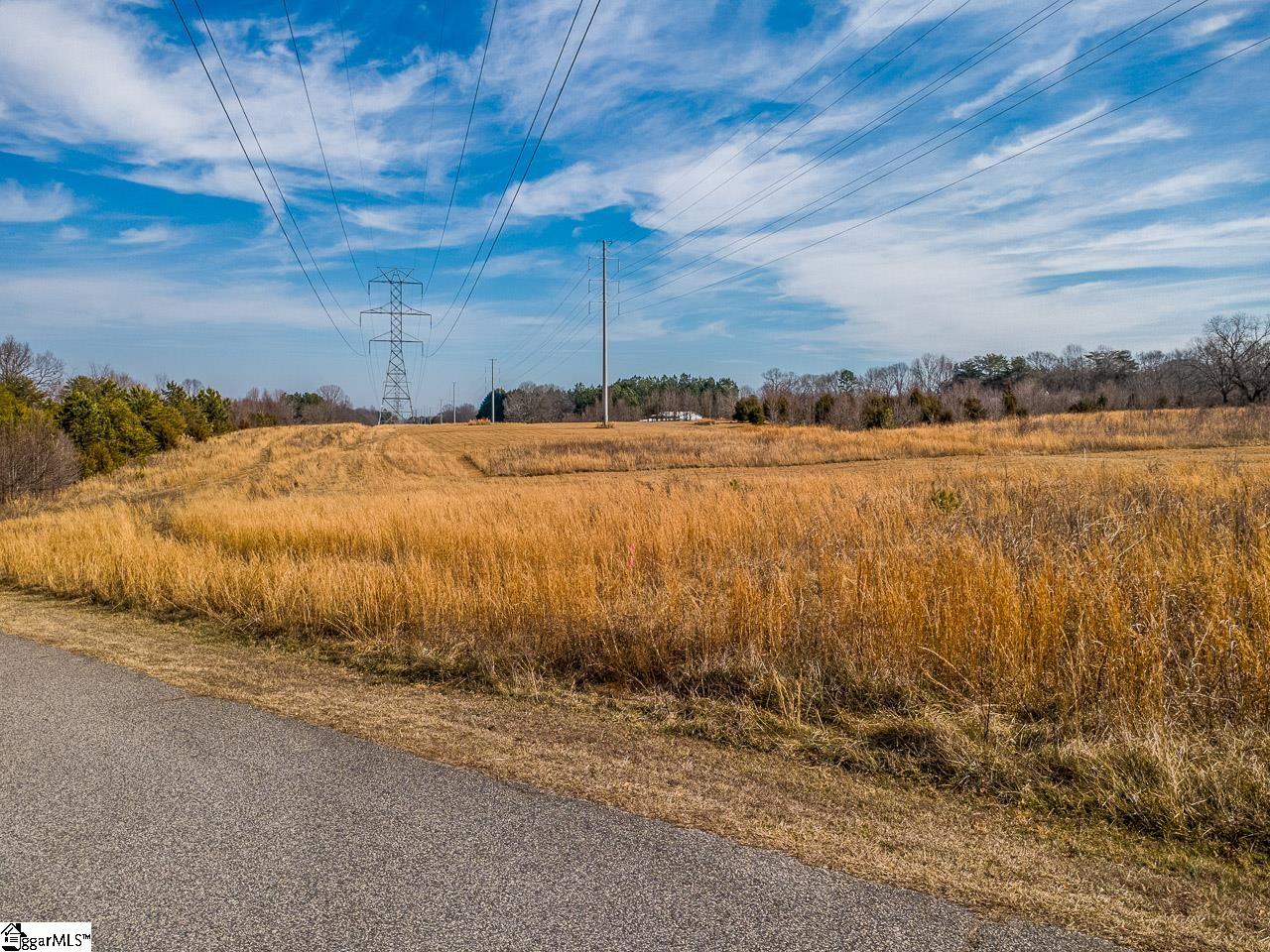 2448 Locust Hill Road Taylors, SC 29687 - Photo 3 of 21