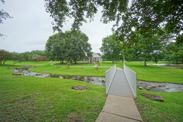 a view of a park with large trees