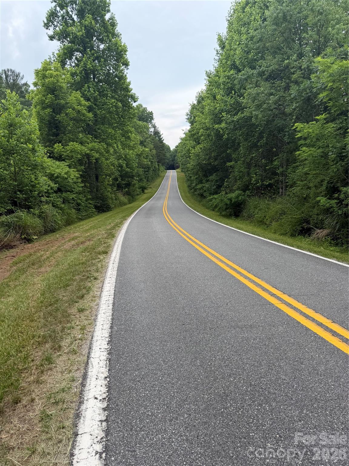 Lot 11 Parker Padgett Road Old Fort, NC 28762 - Photo 3 of 4