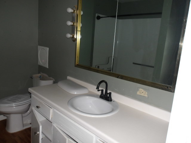13 Southern Drive Decatur, IL 62521 - Photo 14 of 29 a bathroom with a sink and a toilet