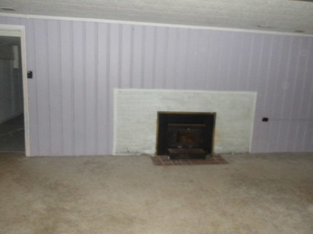 13 Southern Drive Decatur, IL 62521 - Photo 18 of 29 a view of an empty room with a fireplace