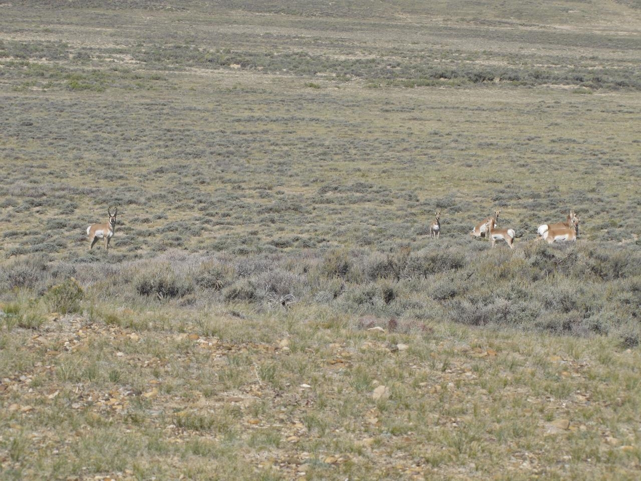 Shamrock Road Rawlins, WY 82301 - Photo 22 of 30