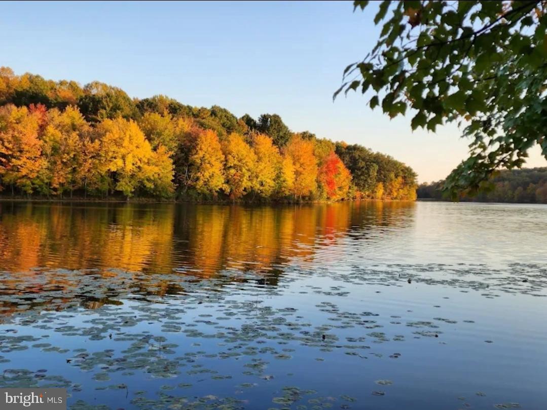 151 Martz Road Sykesville, MD 21784 - Photo 70 of 74 Autumn's vibrant reflection on water.