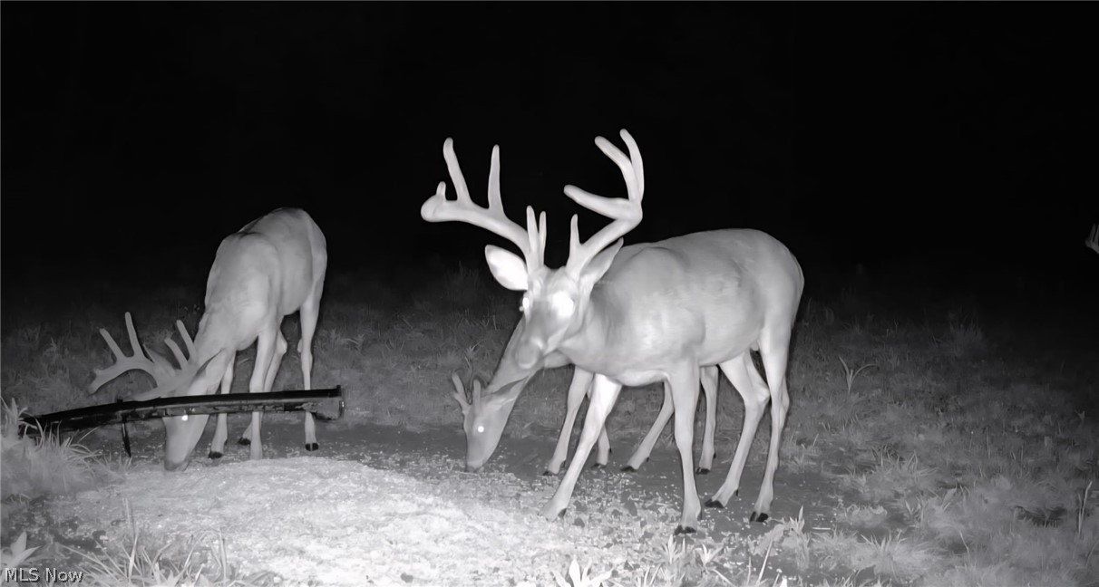 69800 Skull Fork Road Freeport, OH 43973 - Photo 6 of 50