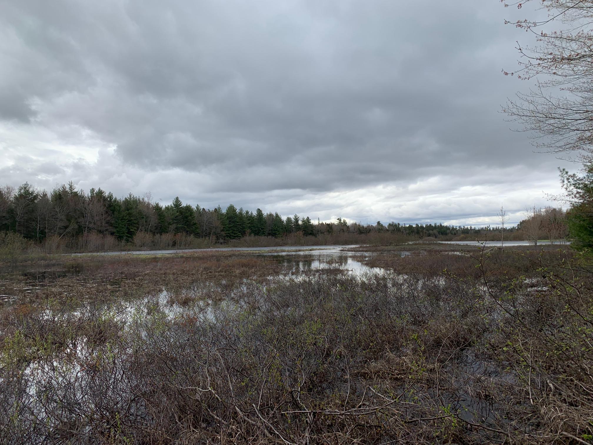 217 Tourtelotte Ridge Road Ellsworth, ME 04605 - Photo 9 of 14 217 Tour Pic 1