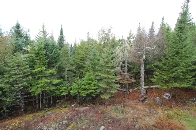 $459,000 | 80 Wilsons Mills Road, Oquossoc, ME 04964