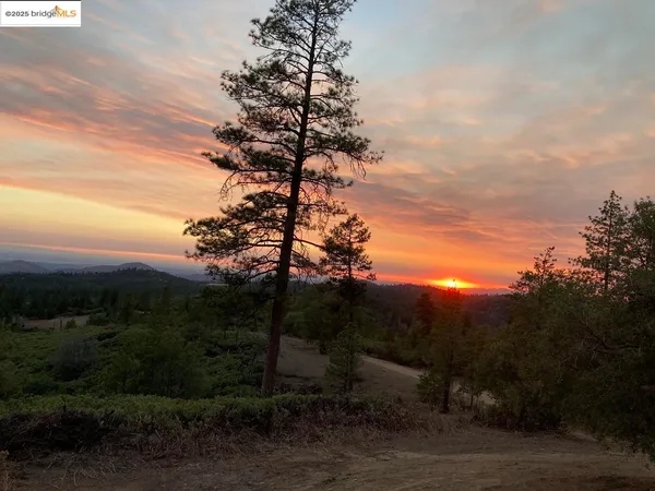 a view of a yard with wooden fence
