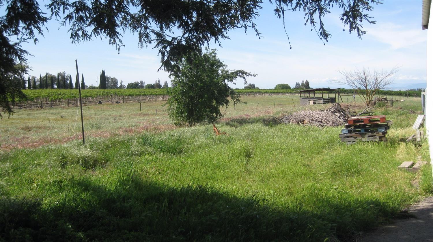 18398 Peter Avenue Reedley, CA 93654 - Photo 6 of 15 Gallery Image 6