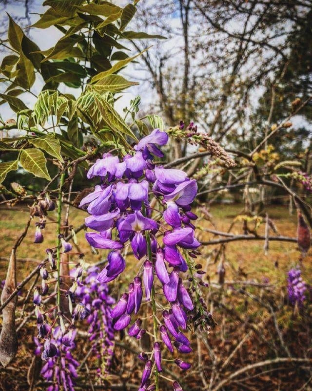 900 Old Perry Store Road Opp, AL 36467 - Photo 48 of 50 Gallery Image 48