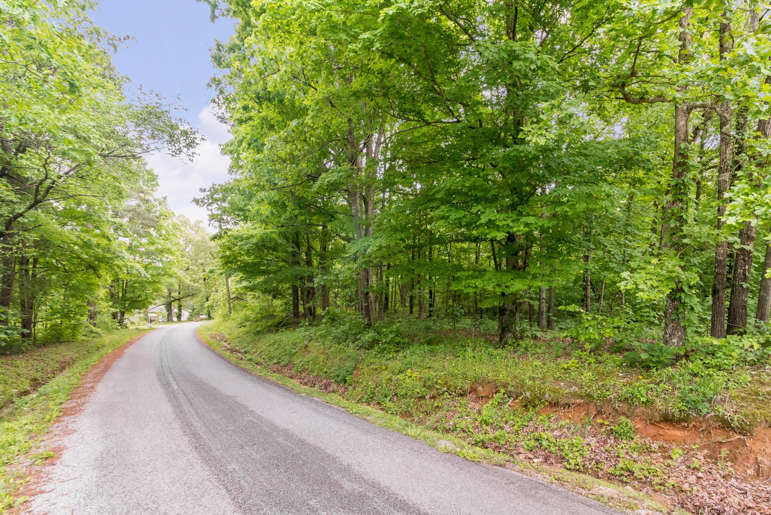 0 Howardsville Road Apison, TN 37302 - Photo 2 of 8 Gallery Image 2
