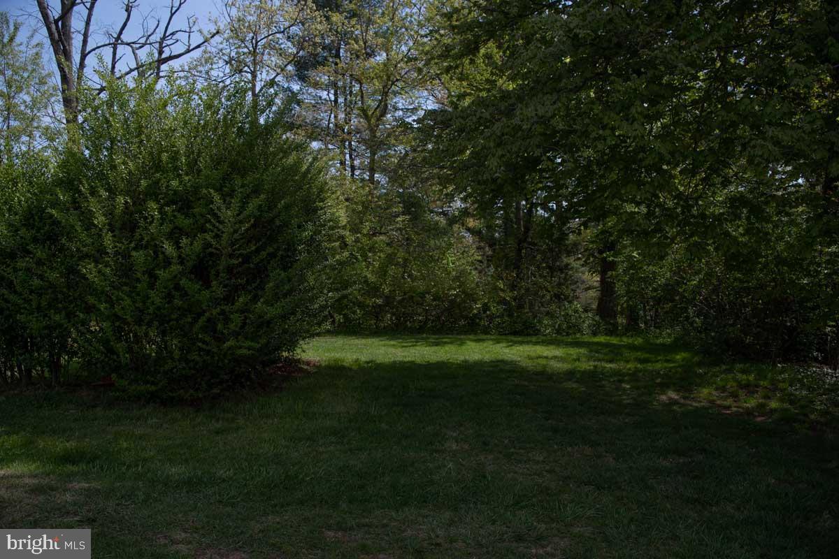 3723 West Ox Road Fairfax, VA 22033 - Photo 5 of 13