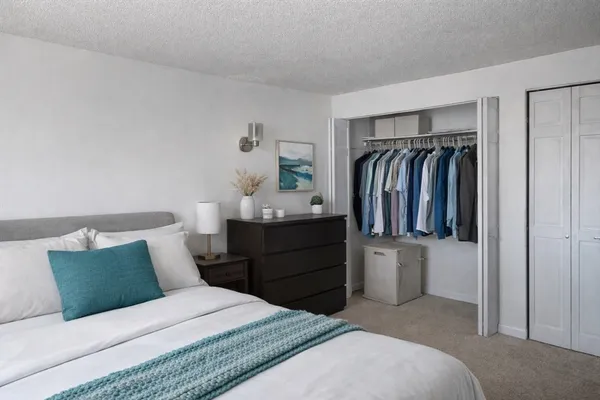 a bedroom with a bed and a walk in closet