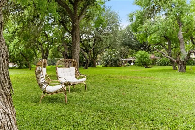 a view of a chair and table in the garden
