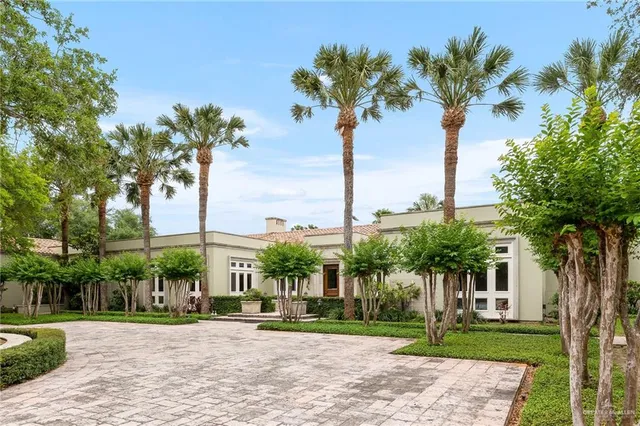a view of a palm trees next to a yard