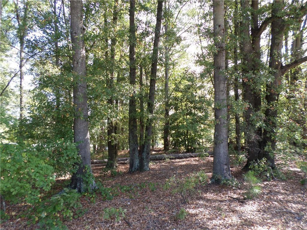 4595 Austell Powder Springs Road Southwest Austell, GA 30106 - Photo 8 of 16
