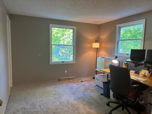 41 South Ridge Trail Perinton, NY 14450 - Photo 29 of 46