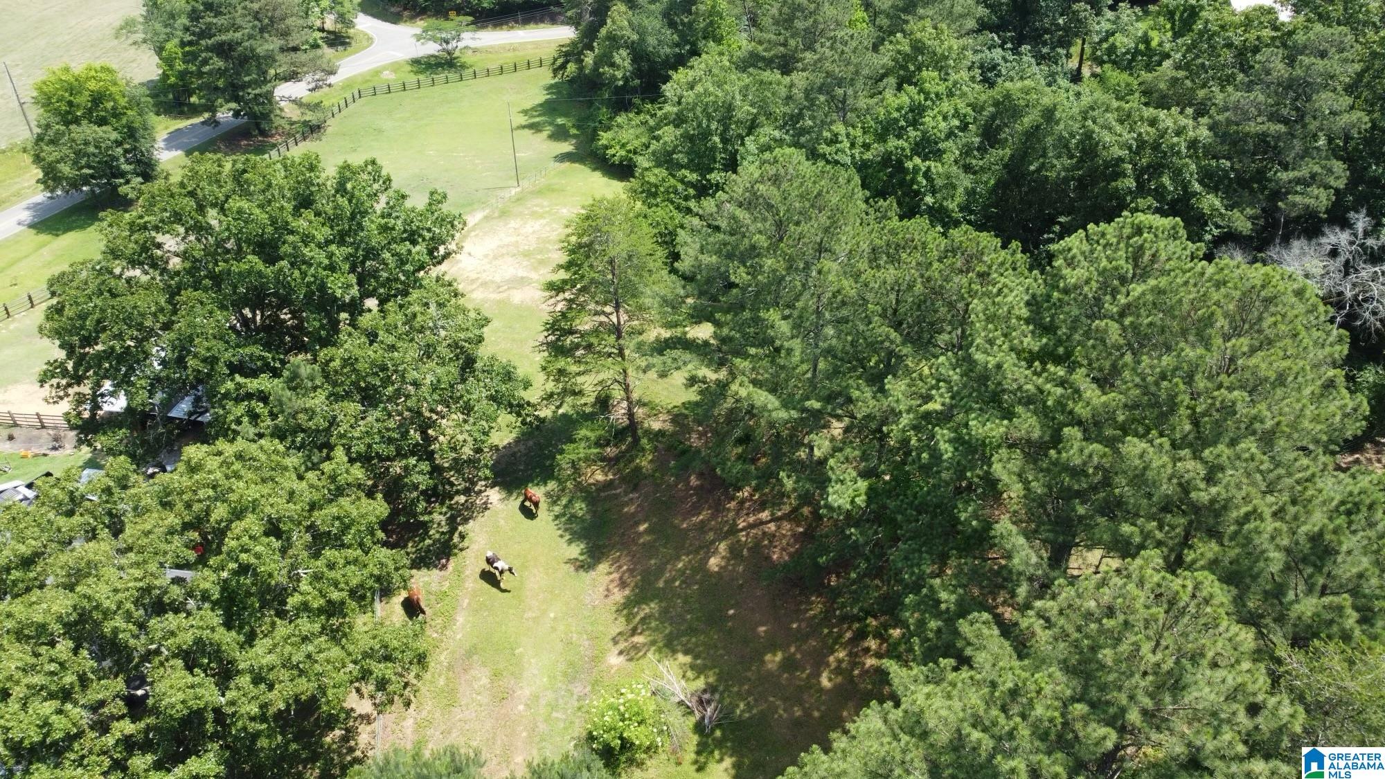 1034 Bob Glenn Road Morris, AL 35116 - Photo 52 of 60