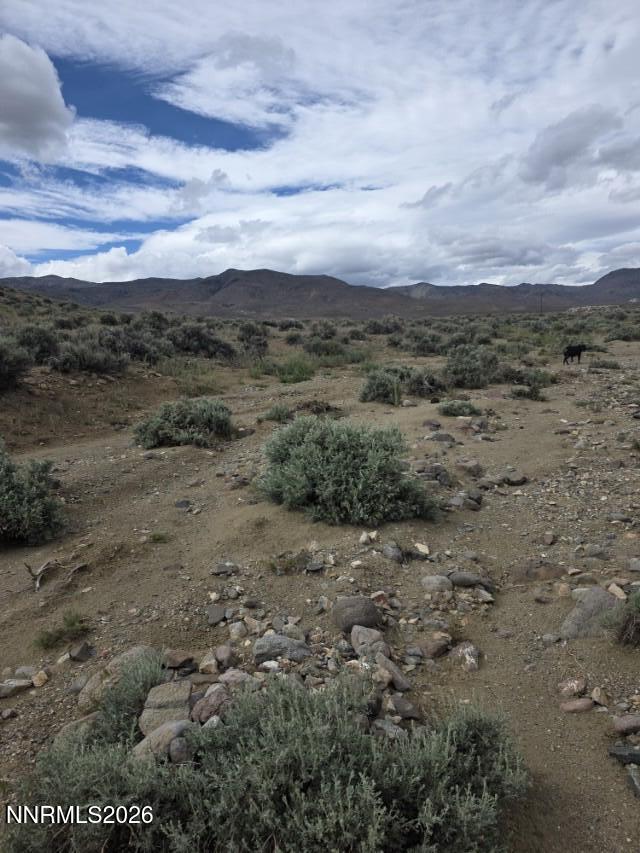 0 Shawnee Road, Unit 21 Stagecoach, NV 89429 - Photo 22 of 34 a view of a dry yard with trees