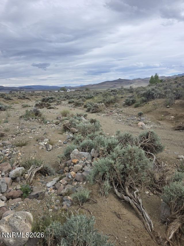 0 Shawnee Road, Unit 21 Stagecoach, NV 89429 - Photo 3 of 34 a view of a field with trees in background