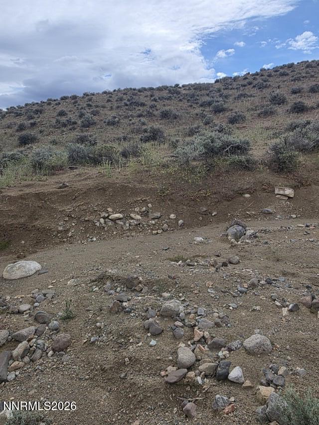 0 Shawnee Road, Unit 21 Stagecoach, NV 89429 - Photo 4 of 34 a view of a dry yard with trees