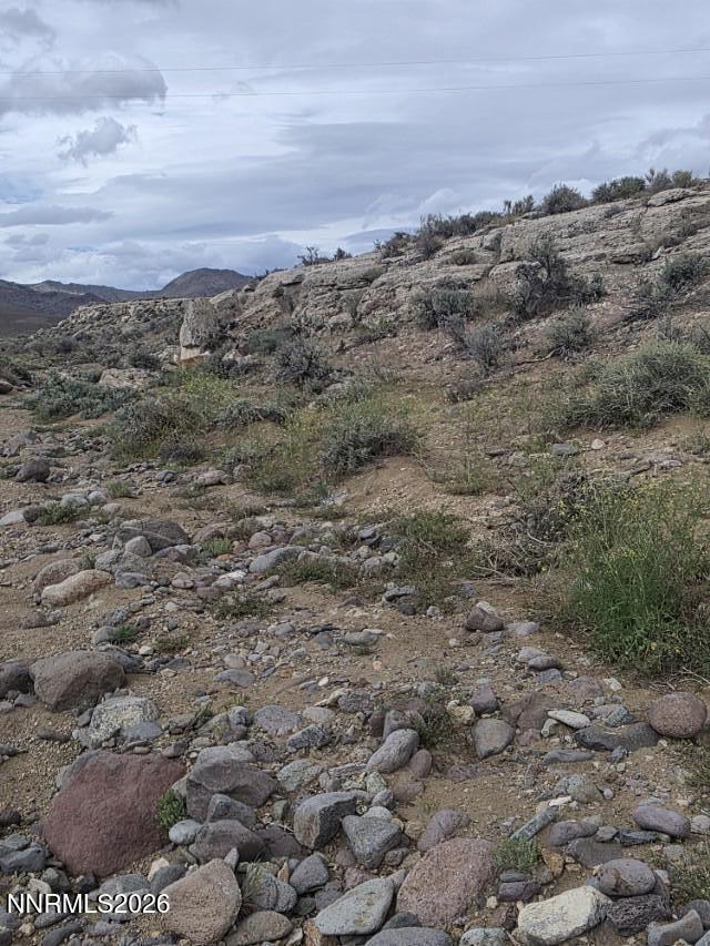 0 Shawnee Road, Unit 21 Stagecoach, NV 89429 - Photo 6 of 34 a view of a dry space with lots of trees