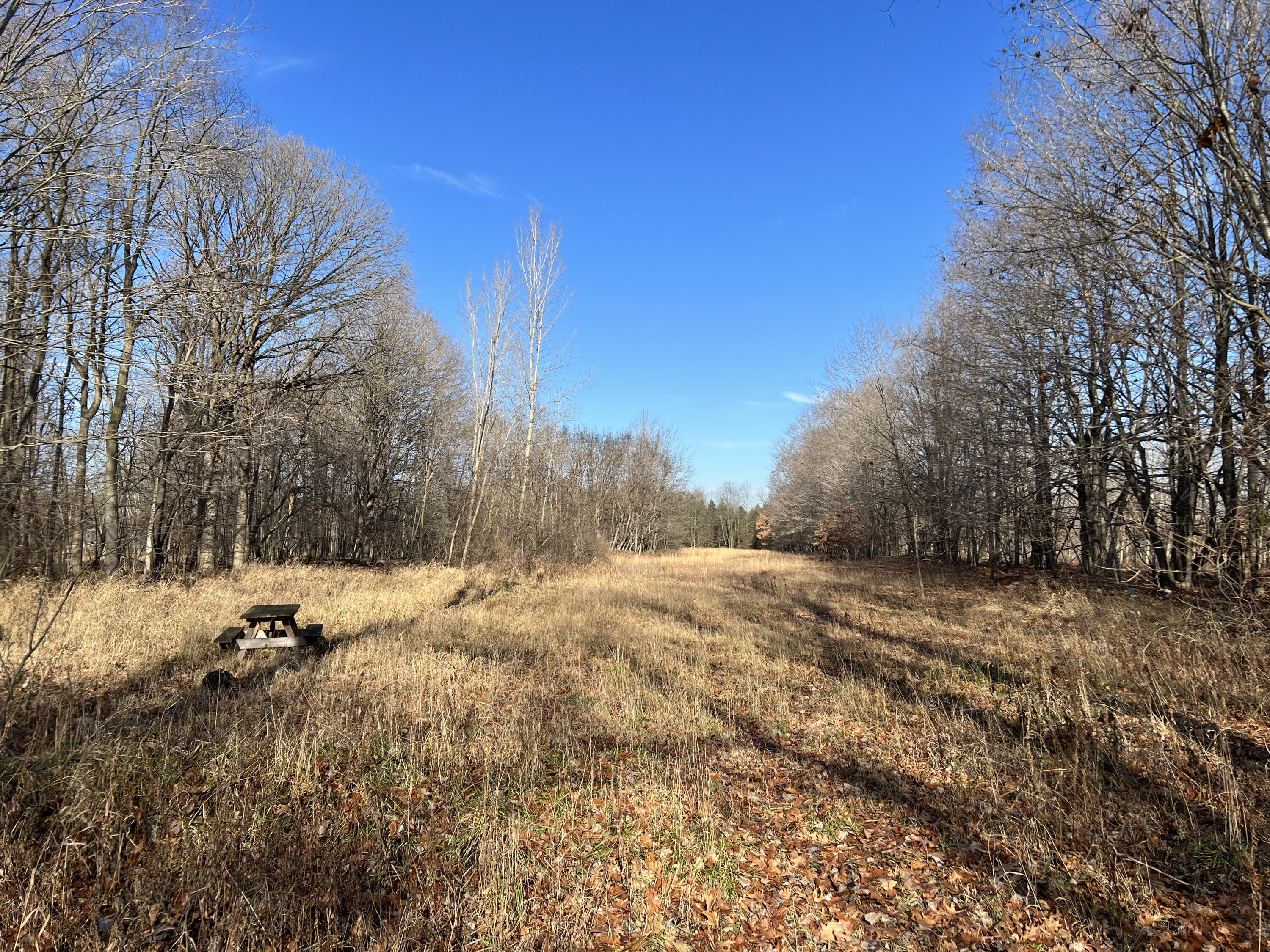 11612 East Colby Road Crystal, MI 48818 - Photo 21 of 51 IMG_6640