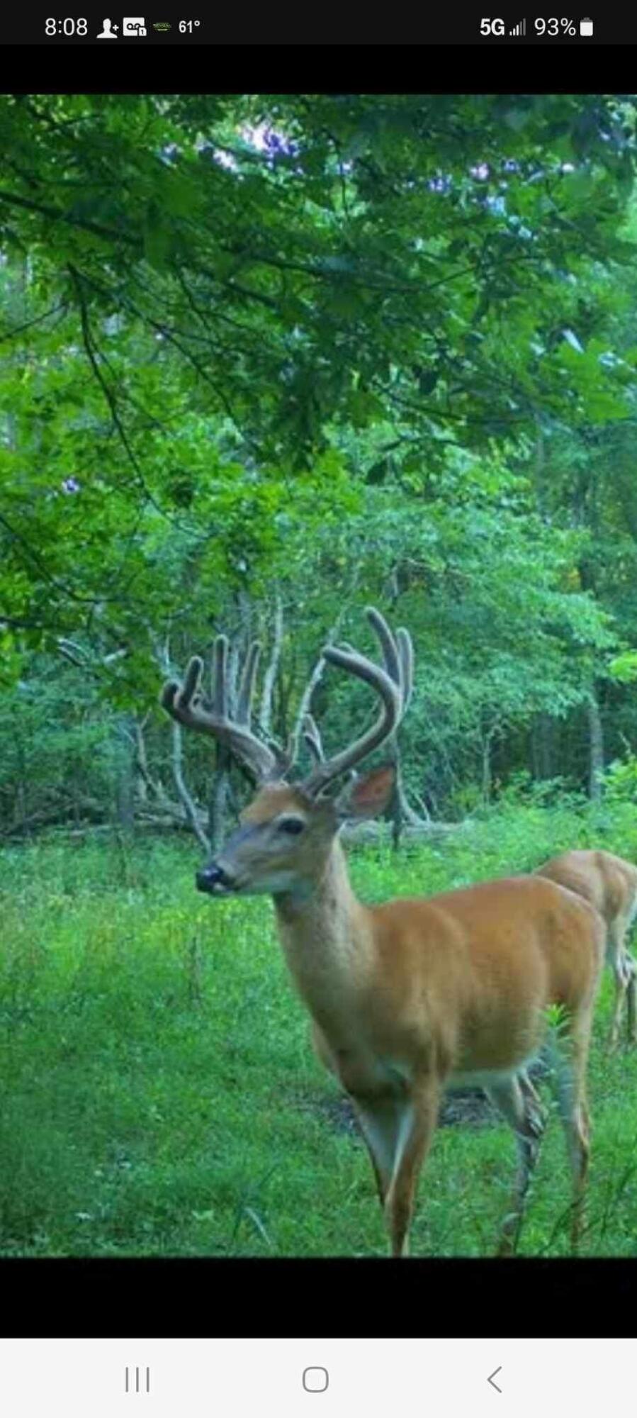11612 East Colby Road Crystal, MI 48818 - Photo 26 of 51 IMG_6669