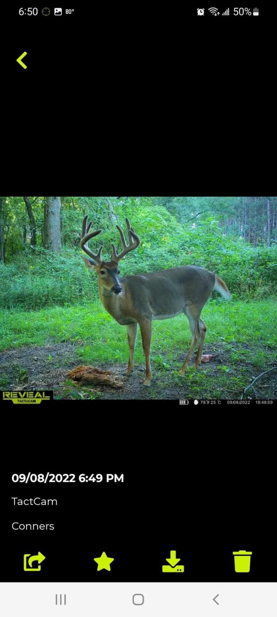 11612 East Colby Road Crystal, MI 48818 - Photo 3 of 51 IMG_6610