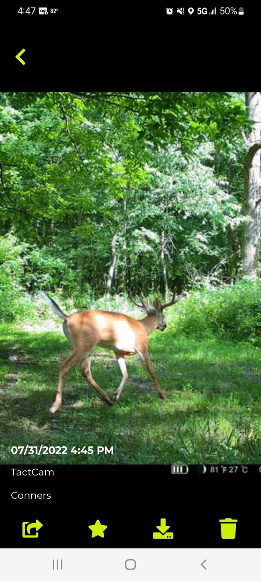 11612 East Colby Road Crystal, MI 48818 - Photo 49 of 51 IMG_6678