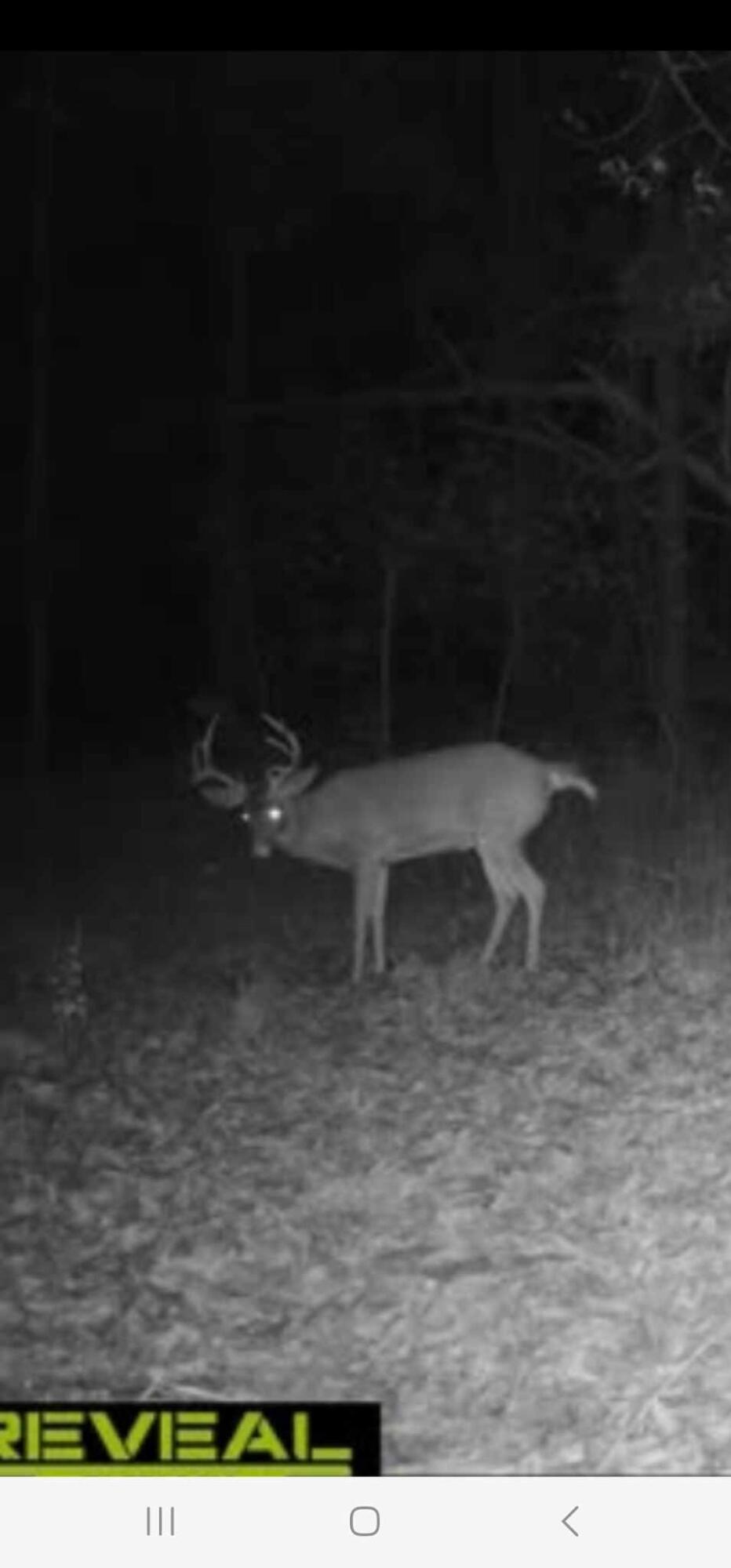 11612 East Colby Road Crystal, MI 48818 - Photo 51 of 51 IMG_6680