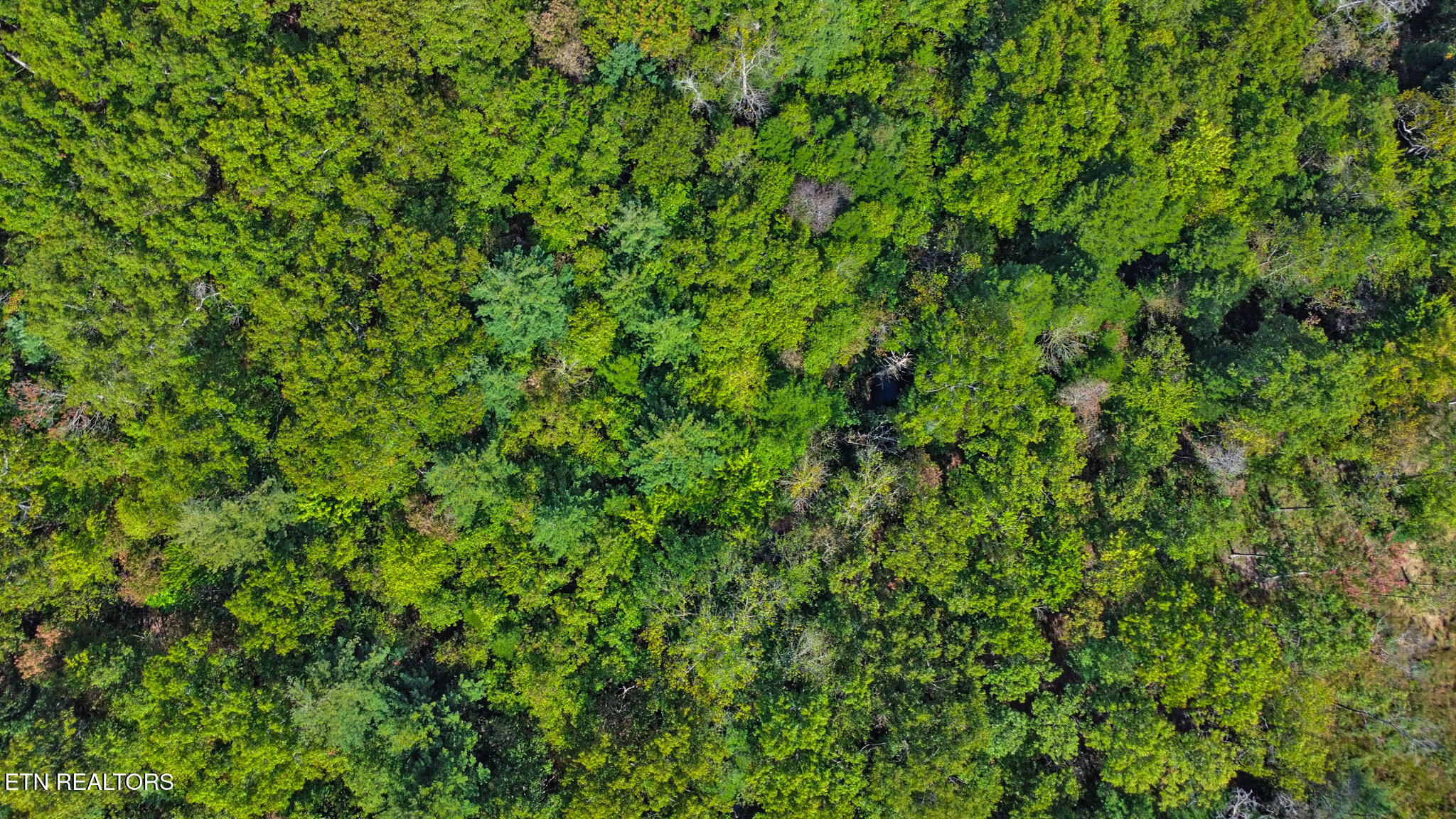 224 Victoria Circle Jamestown, TN 38556 - Photo 43 of 51 dji_0109-dji_0111