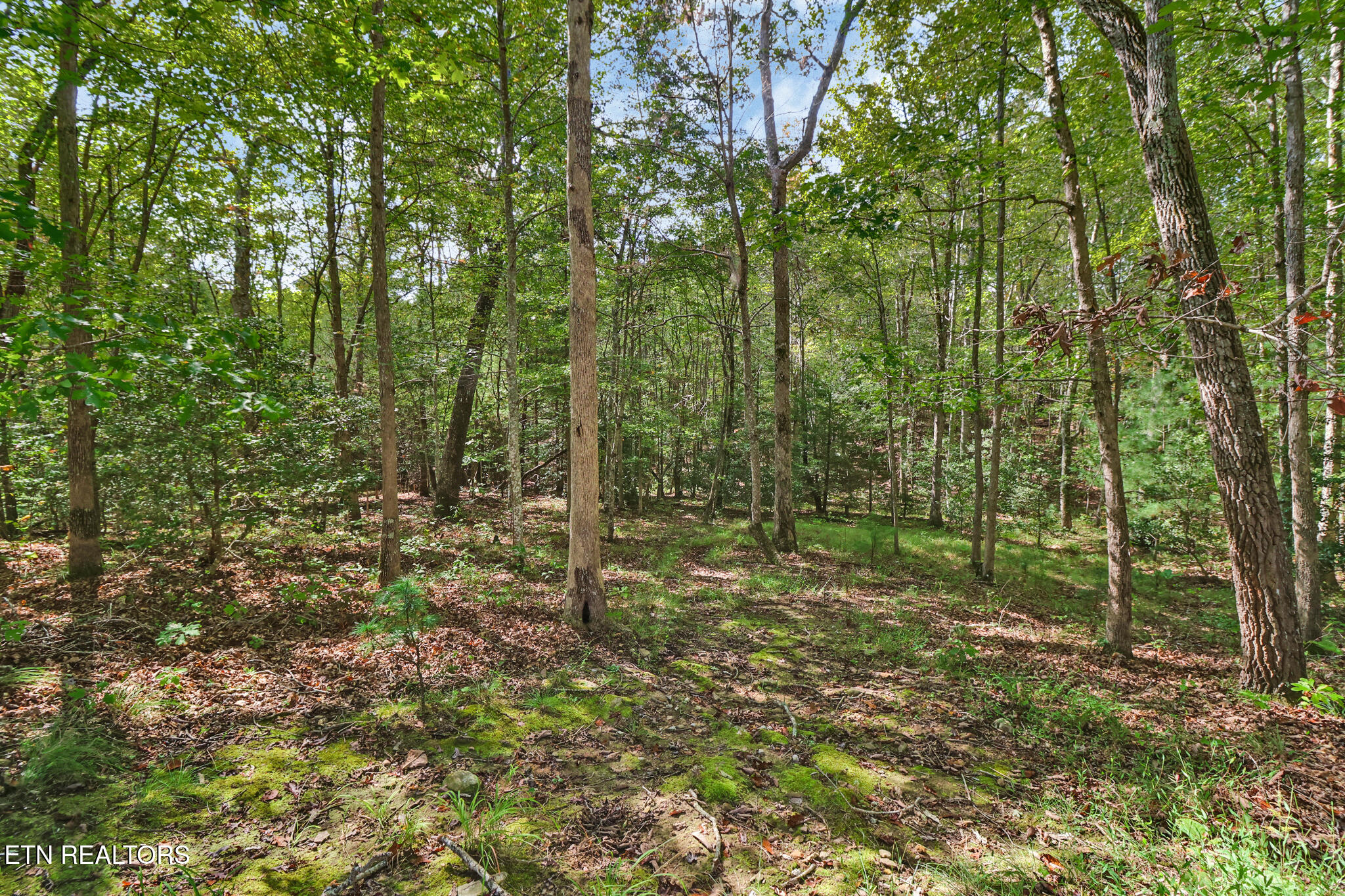 224 Victoria Circle Jamestown, TN 38556 - Photo 45 of 51 if1a1094-if1a1098