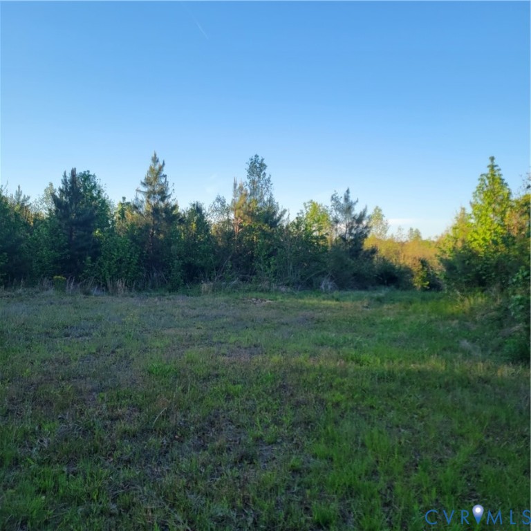 N/a Spring Garden Road King and Queen Court House, VA 23085 - Photo 3 of 18 a view of a field of grass and trees