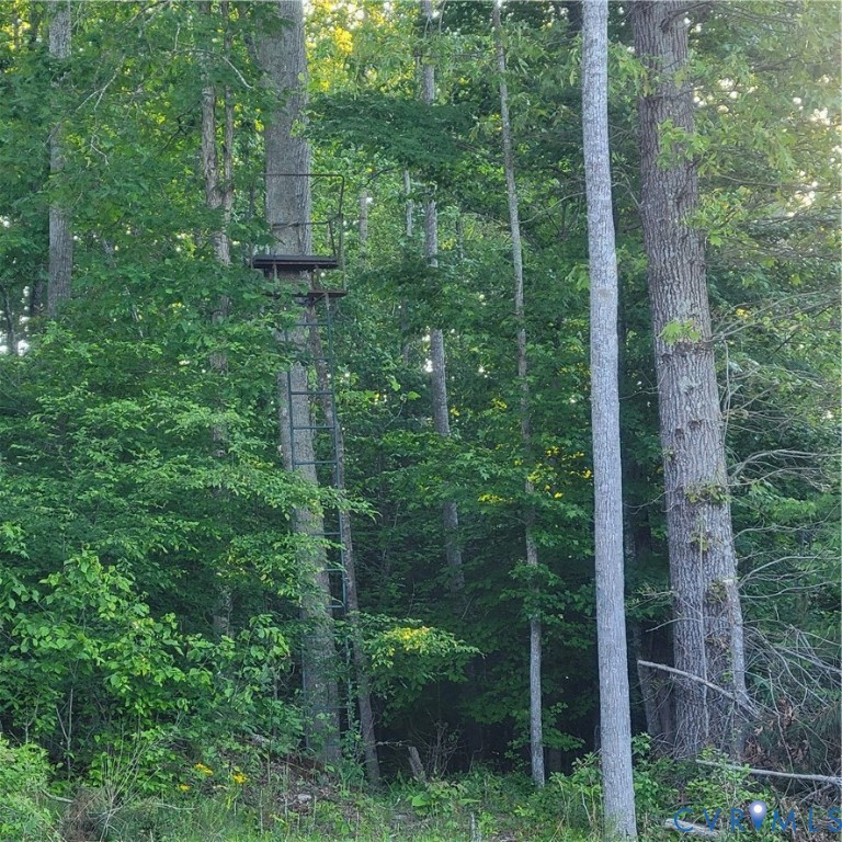 N/a Spring Garden Road King and Queen Court House, VA 23085 - Photo 10 of 18 a view of a forest with a trees