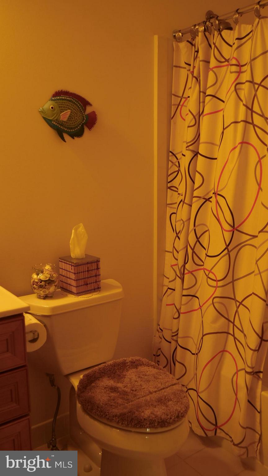1900 Speedwell Road Lancaster, PA 17601 - Photo 23 of 48 MAIN HALL BATH