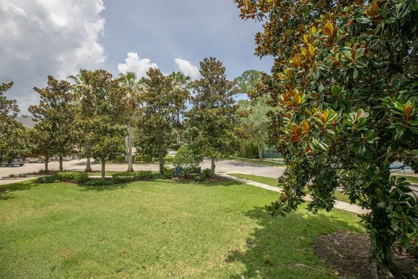 a view of a park with large trees