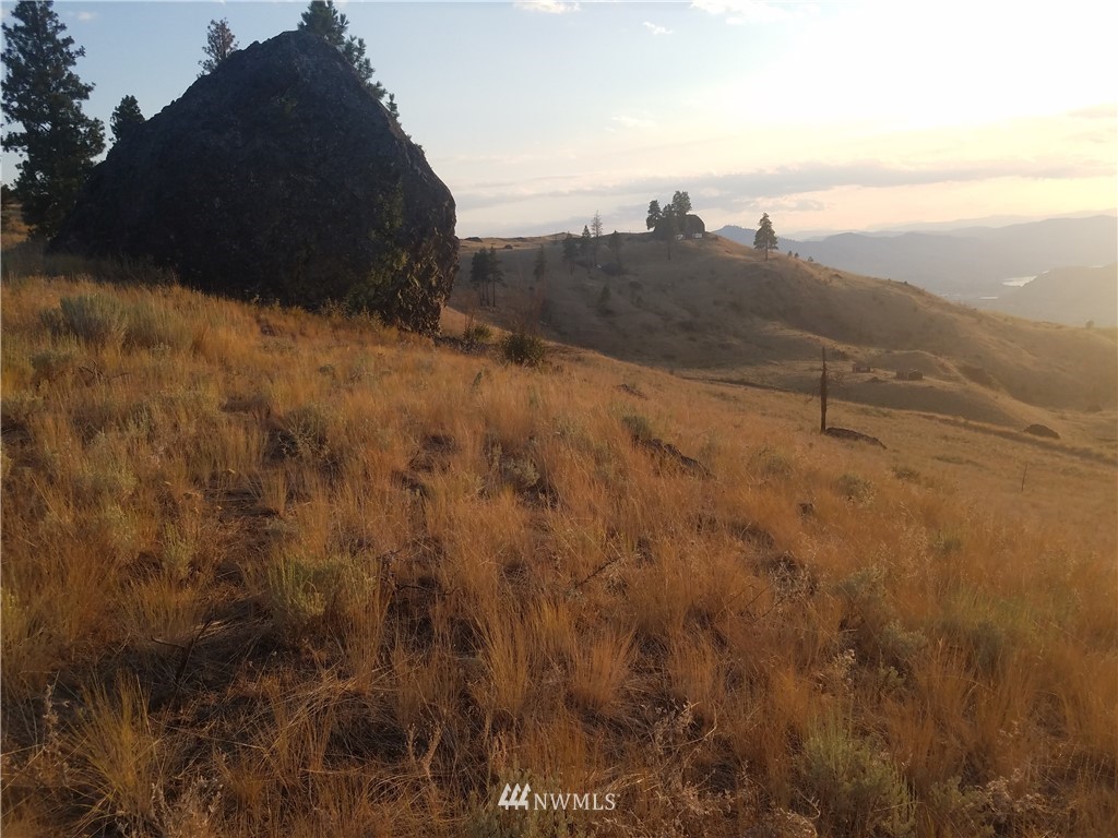 0 Spring Canyon Road Orondo, WA 98843 - Photo 2 of 17 Gallery Image 2