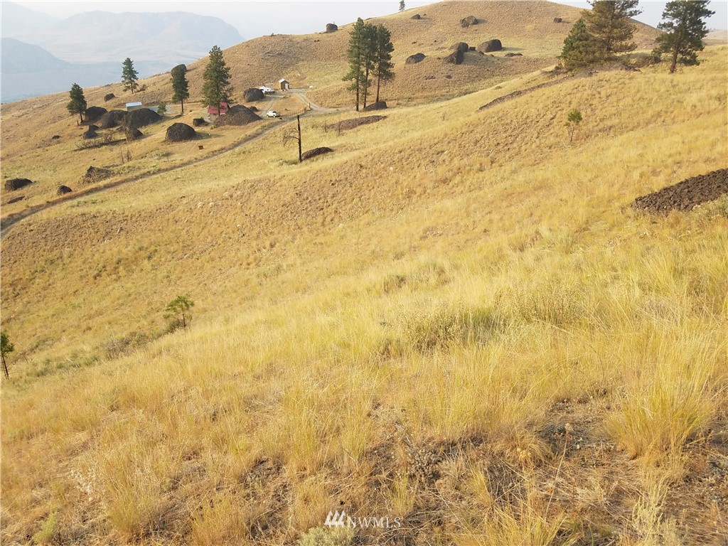 0 Spring Canyon Road Orondo, WA 98843 - Photo 11 of 17 Gallery Image 11