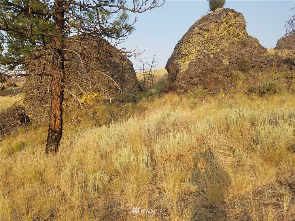 0 Spring Canyon Road Orondo, WA 98843 - Photo 13 of 17 Gallery Image 13