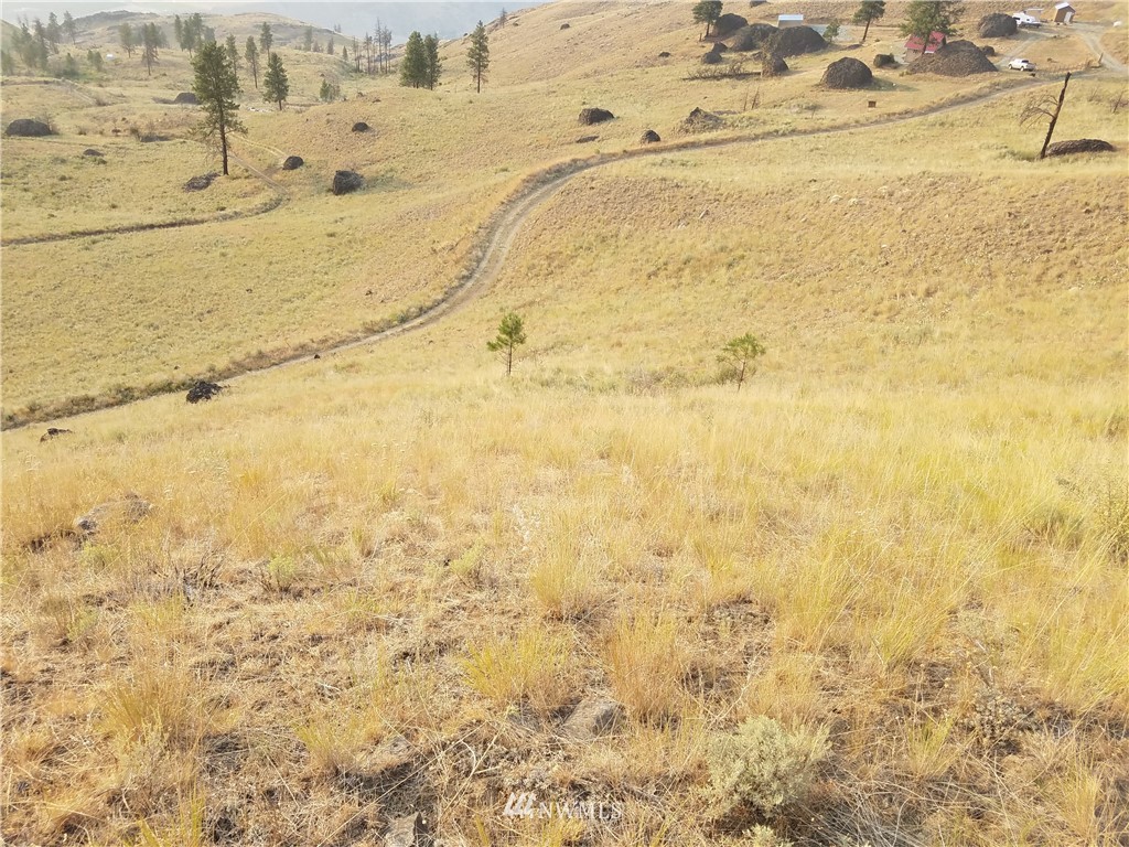 0 Spring Canyon Road Orondo, WA 98843 - Photo 14 of 17 Gallery Image 14