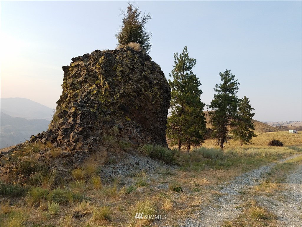 0 Spring Canyon Road Orondo, WA 98843 - Photo 17 of 17 Gallery Image 17