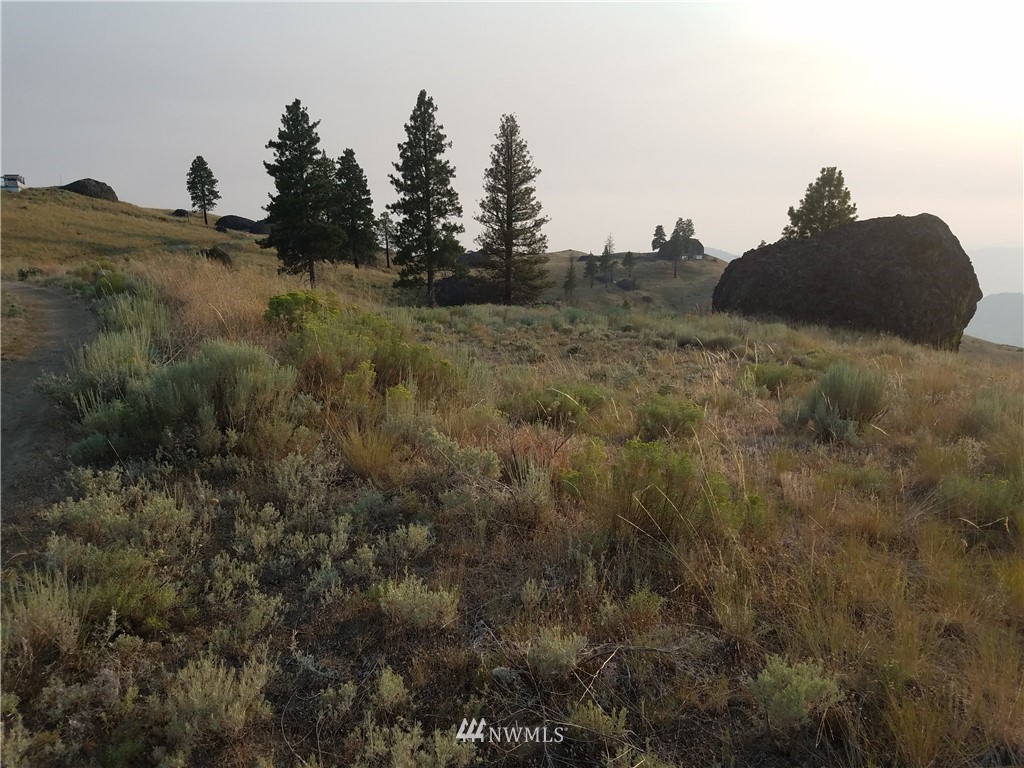 0 Spring Canyon Road Orondo, WA 98843 - Photo 3 of 17 Gallery Image 3