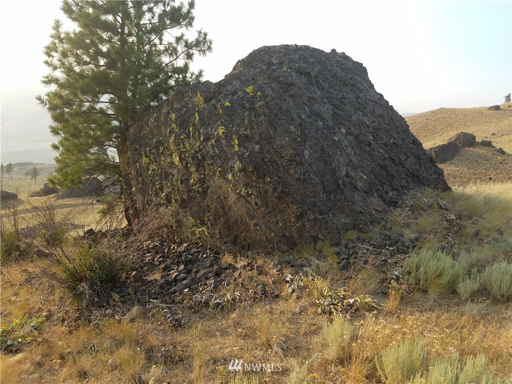 0 Spring Canyon Road Orondo, WA 98843 - Photo 4 of 17 Gallery Image 4