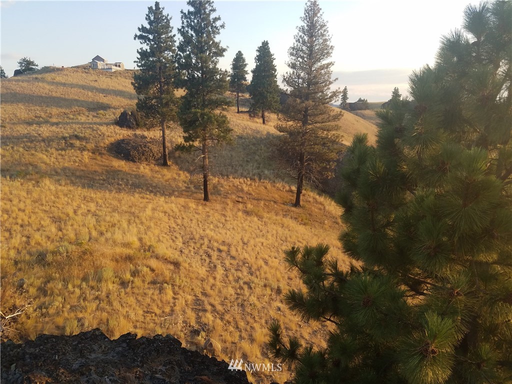 0 Spring Canyon Road Orondo, WA 98843 - Photo 5 of 17 Gallery Image 5